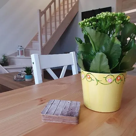 Luksusowy Ul. Kwiatkowskiego *