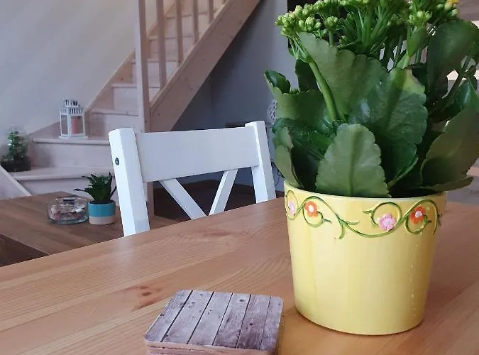 Luksusowy Ul. Kwiatkowskiego *